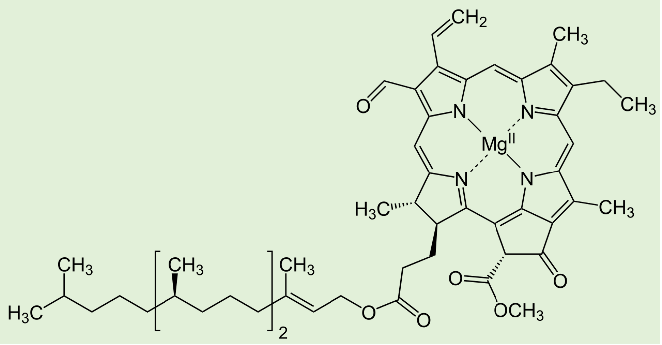 Molecular structure of chlorophyll f