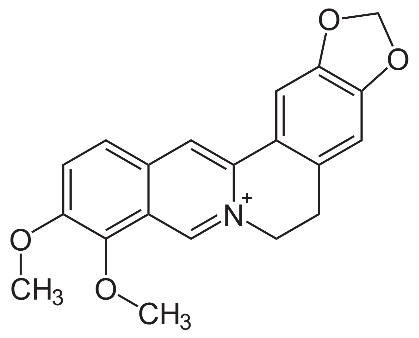 Molecular structure of berberine