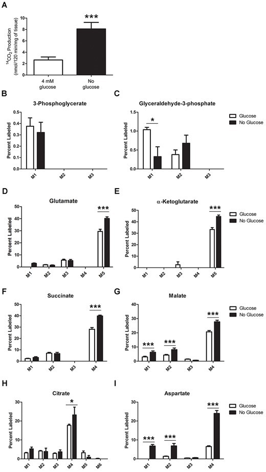 Figure 7. Isotopic enrichment of central carbon and TCA cycle intermediates from glutamine tracing