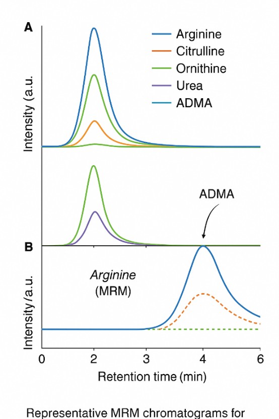 Overlaid MRM chromatograms showing arginine pathway metabolites and arginine peaks in different matrices.