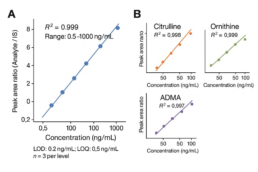 LC–MS/MS calibration curves for arginine and related metabolites demonstrating excellent linearity.
