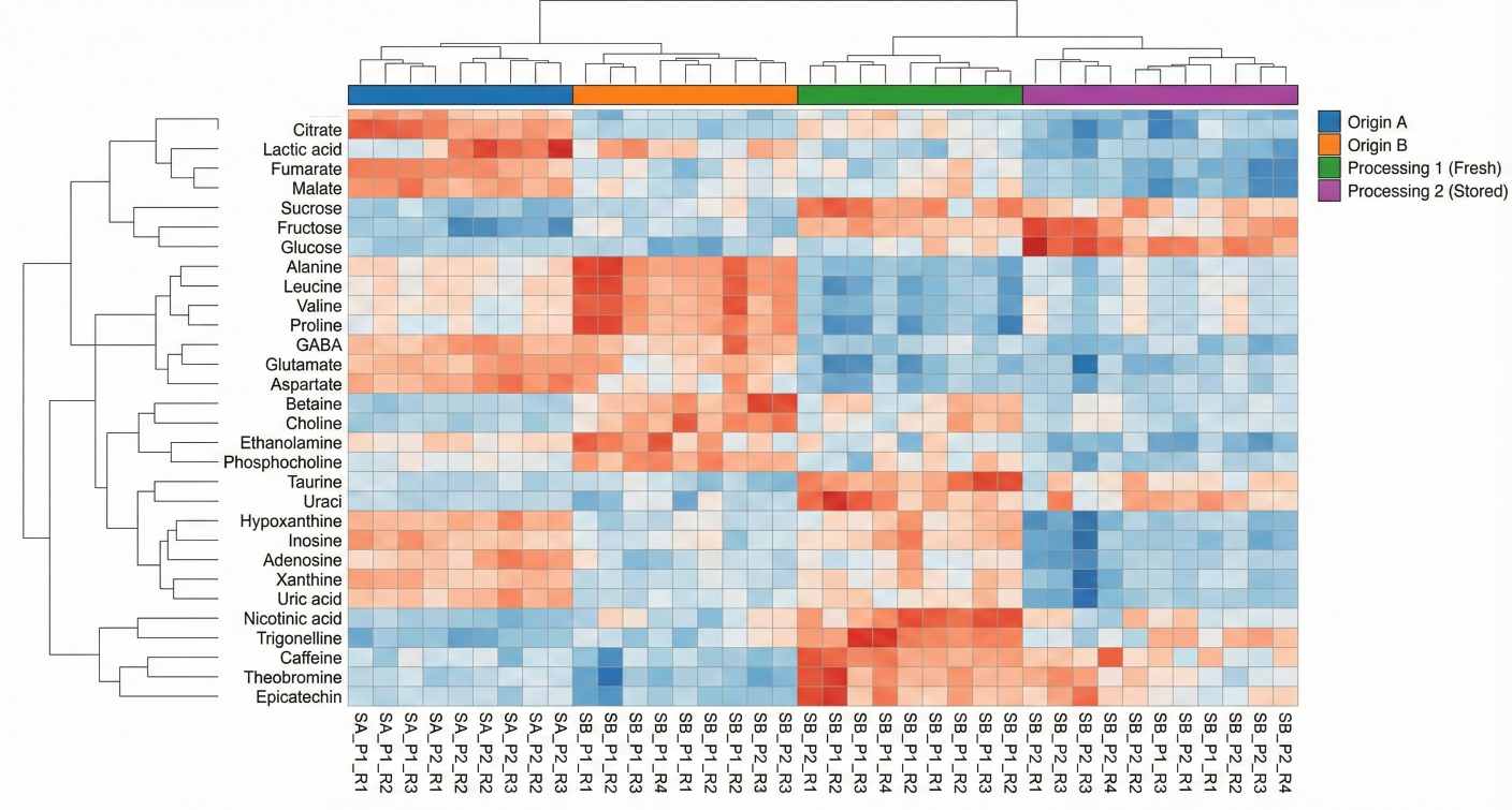 Heatmap of metabolite abundance patterns across grouped food samples.