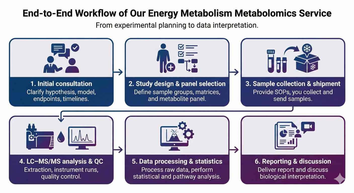 Workflow of Our Energy Metabolism Metabolomics Service