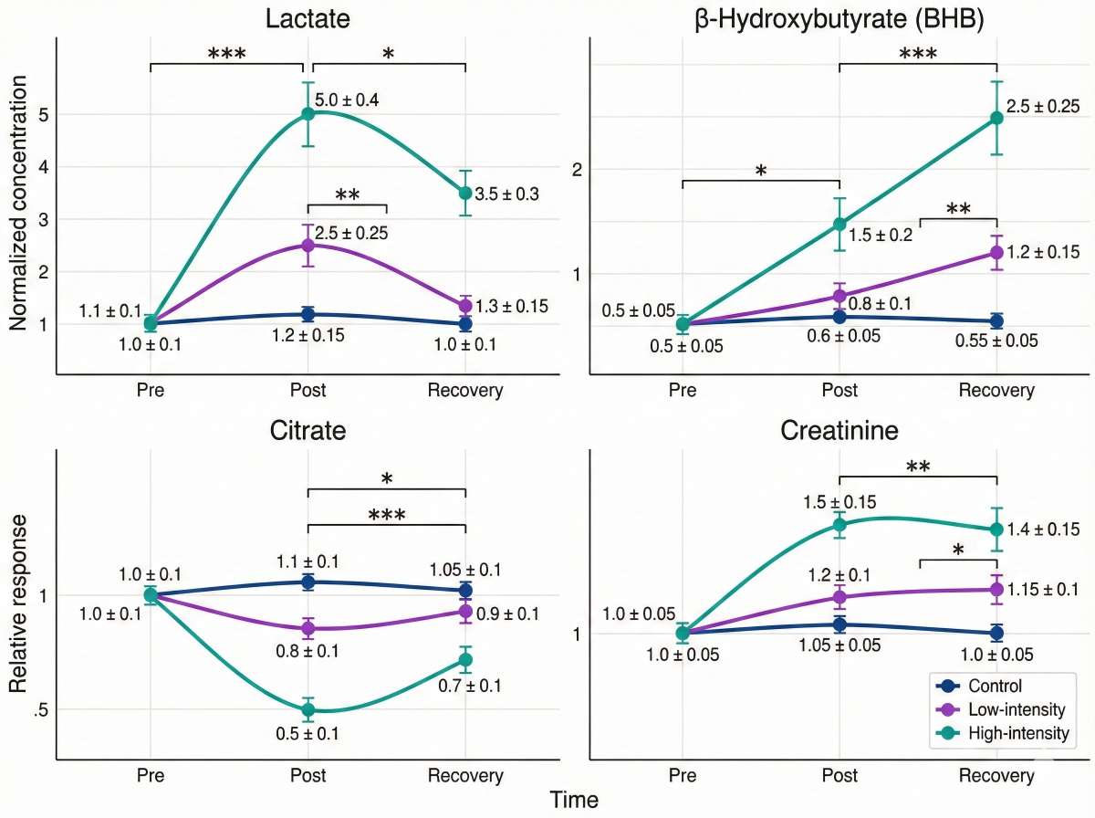 Time-course line plots of key energy metabolites across pre, post, and recovery time points with error bars and significance markers.