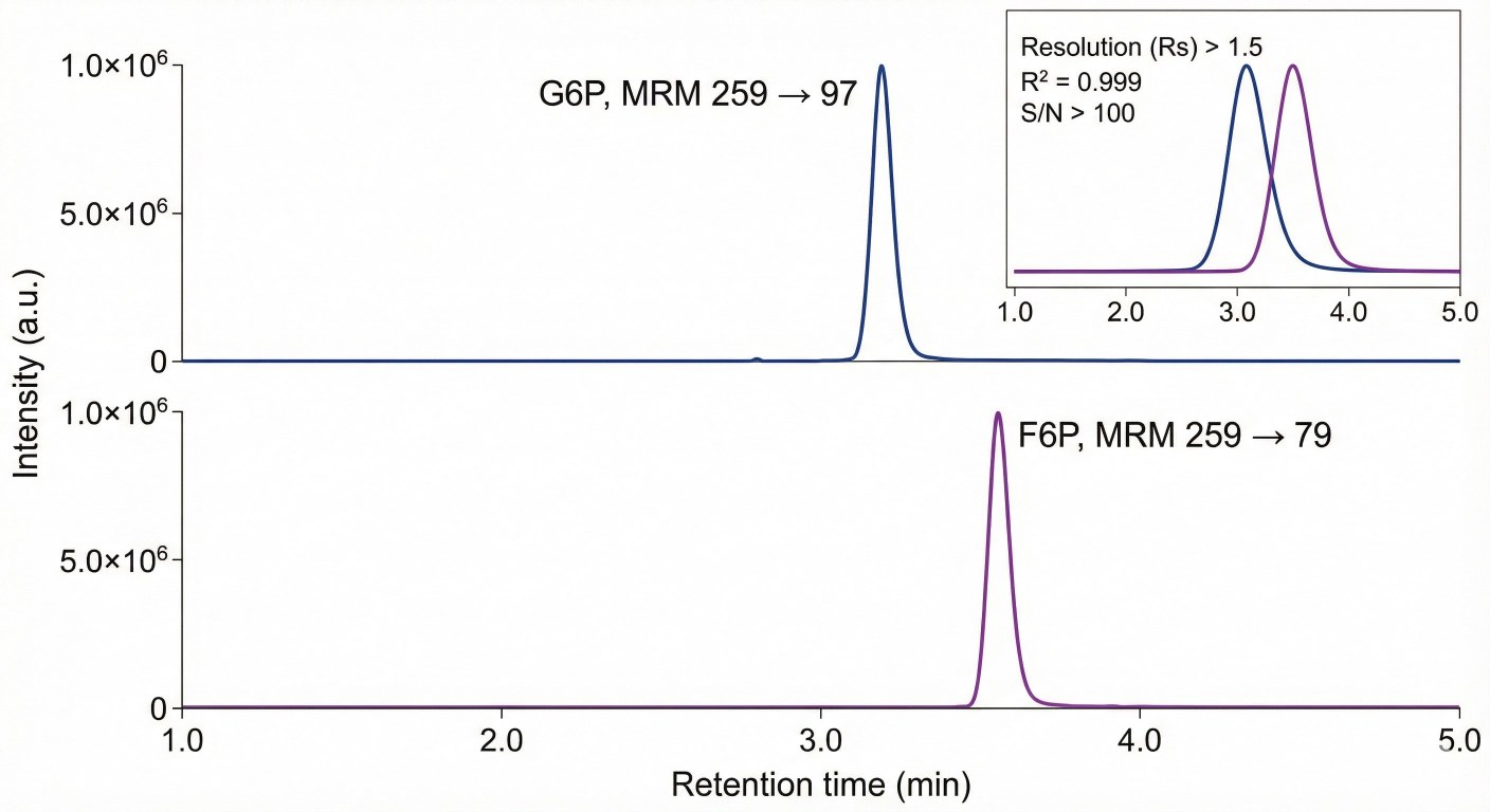 Chromatograms of G6P and F6P showing clear LC–MS/MS separation.