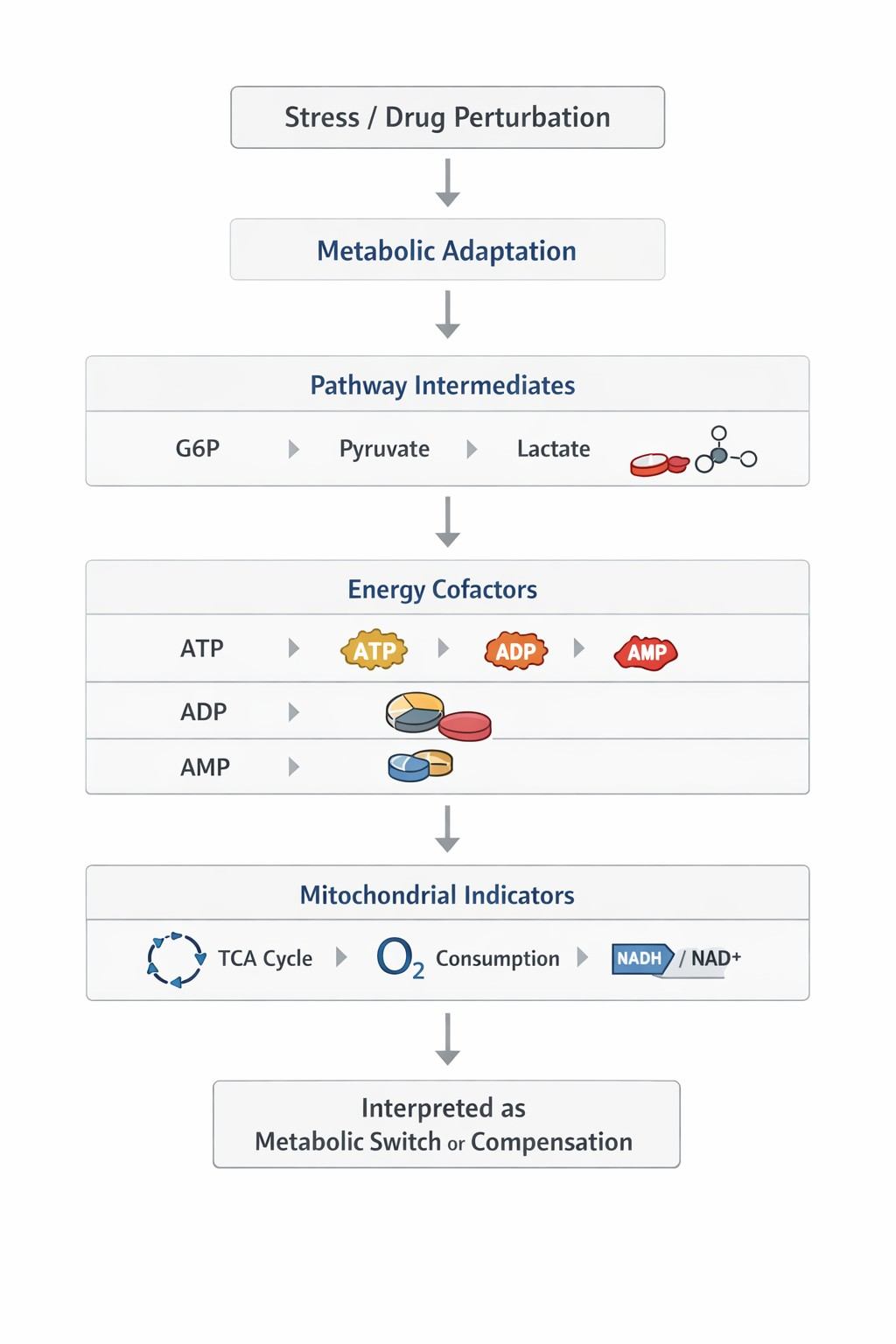 Flowchart illustrating a three-tiered metabolomics strategy to detect glycolysis-to-OXPHOS transition, using glycolytic metabolites, ATP ratios, and mitochondrial markers.