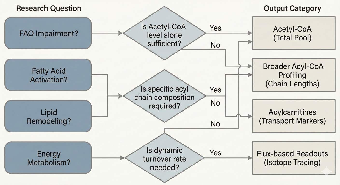 Decision flowchart guiding selection of acyl-CoA, acylcarnitine, or acetyl-CoA measurements.