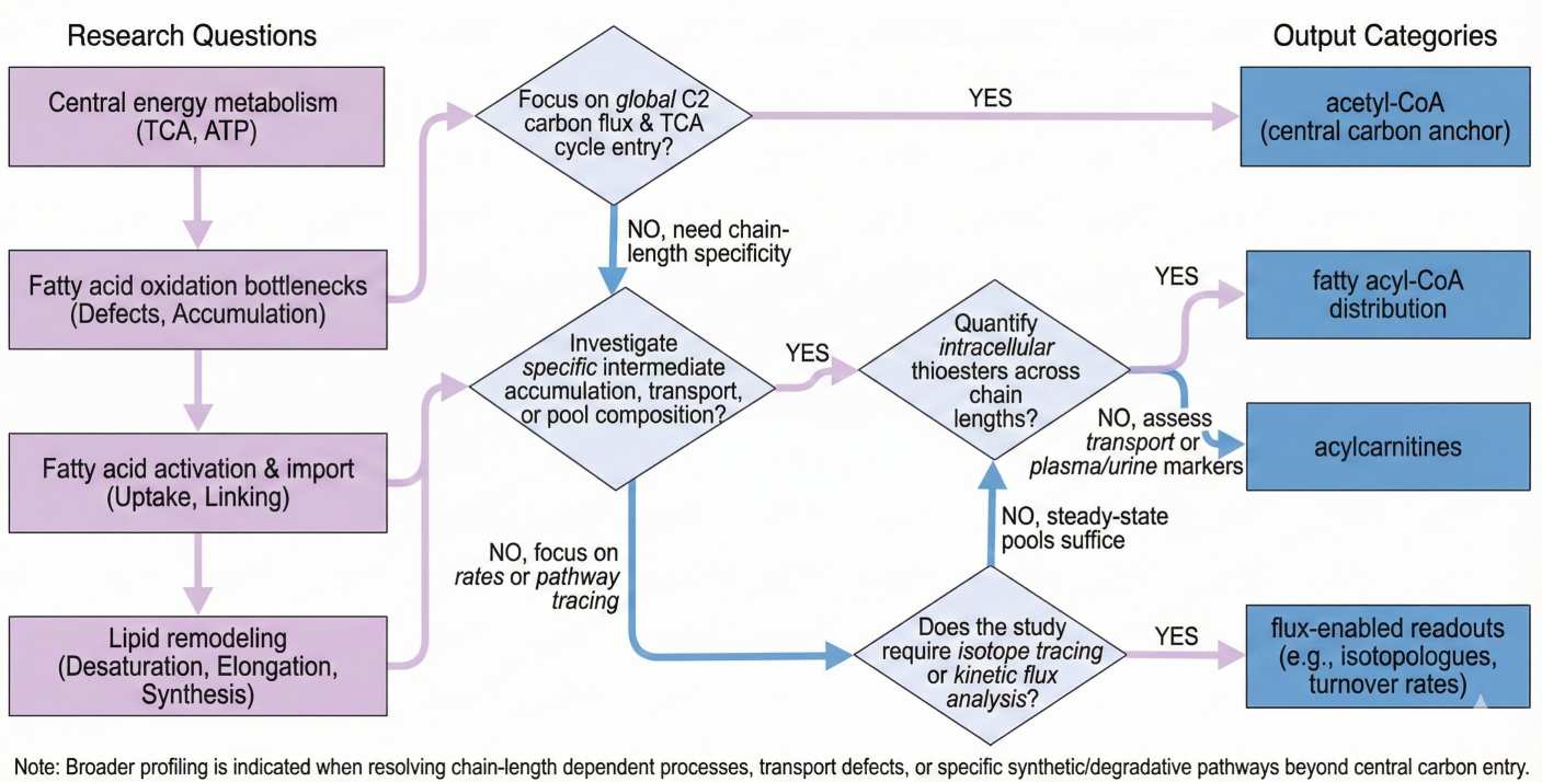 Flowchart guiding acetyl-CoA versus acyl-CoA readout selection for metabolic study design.