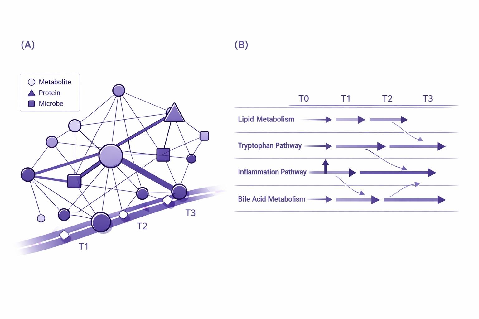 Multi-omics integration figure linking microbiome, DIA proteomics, and metabolomics with pathway changes over time.
