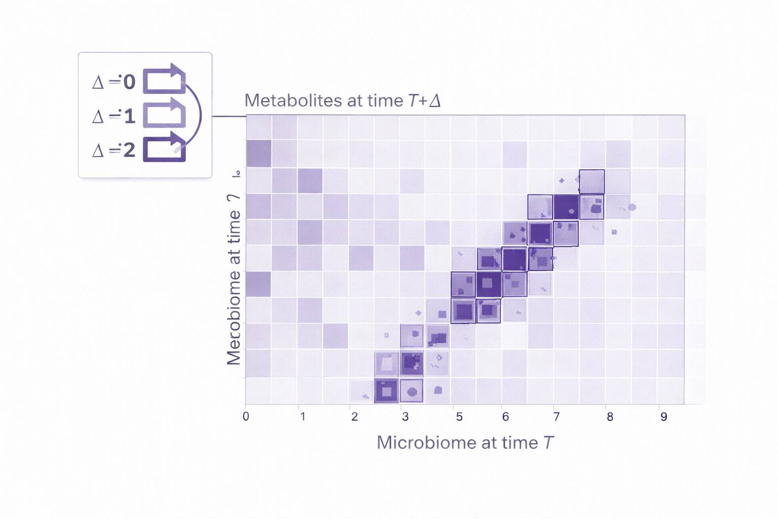 Time-lag heatmap showing microbiome-to-metabolomics associations across longitudinal time points for cohort studies.