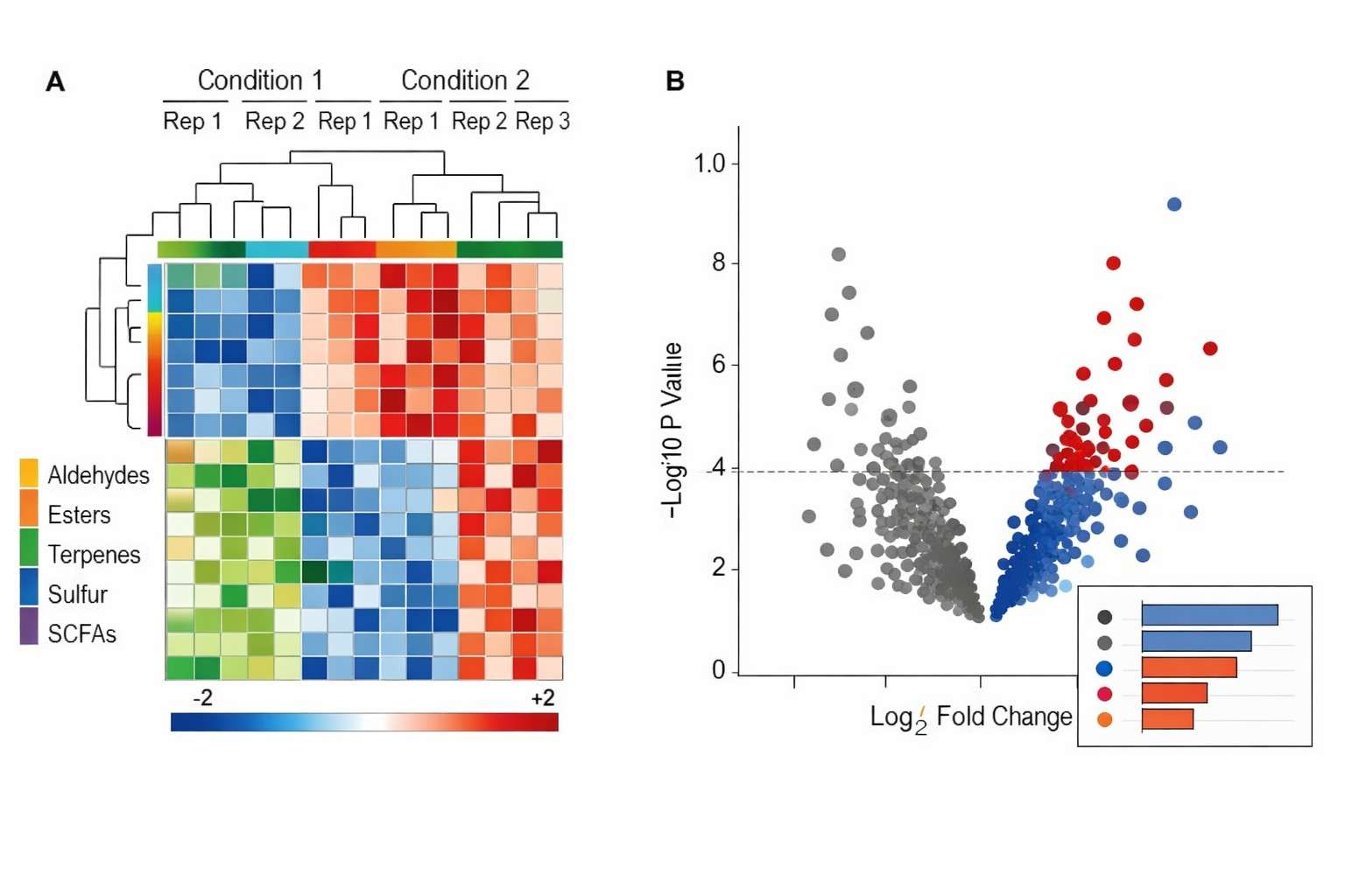 Heatmap and volcano plot showing differential VOC features and class patterns from GC-MS volatilomics profiling.