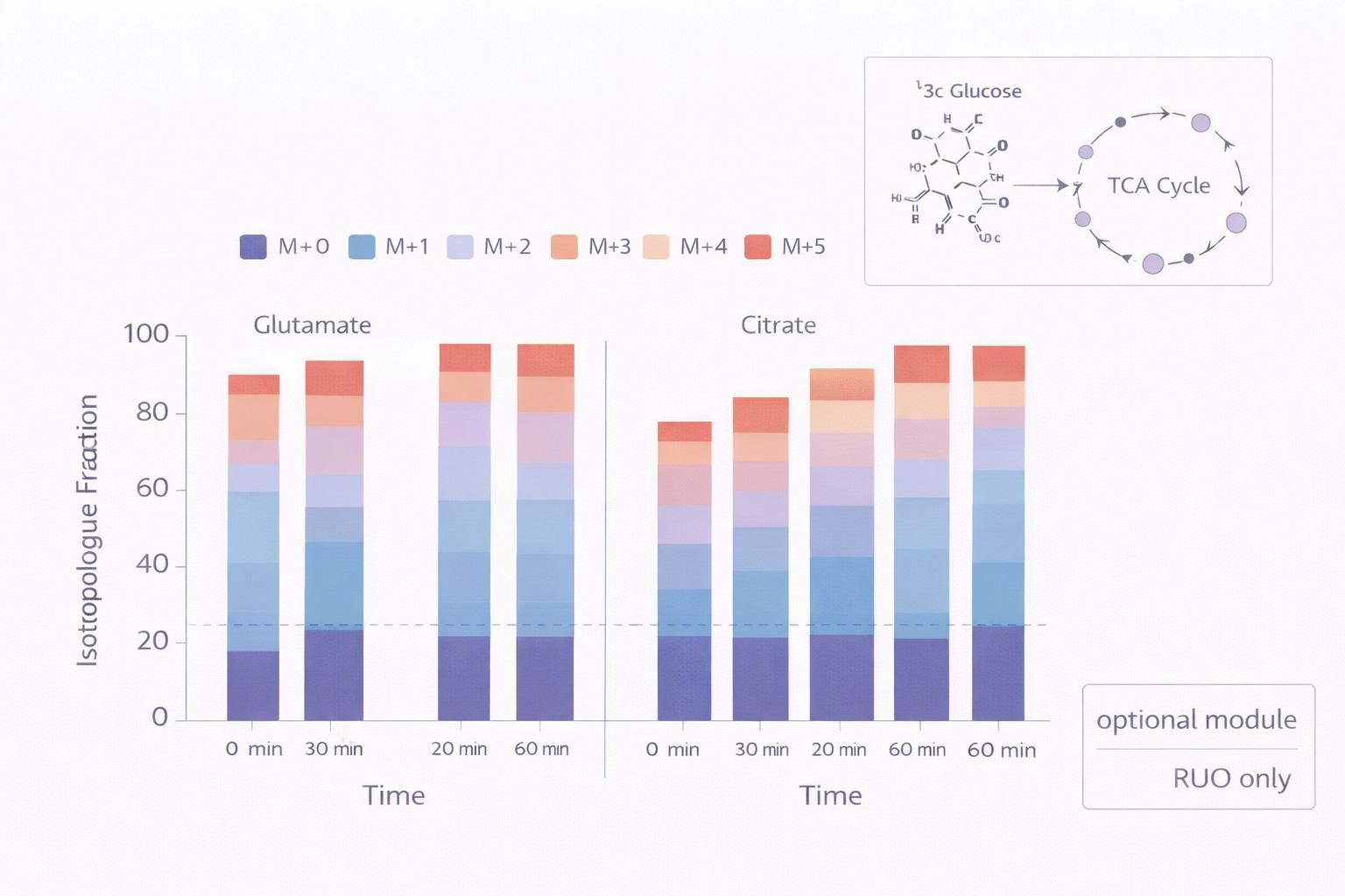 Stable isotope tracing figure with isotopologue fraction bars and 13C-glucose to TCA schematic for immunometabolism analysis.