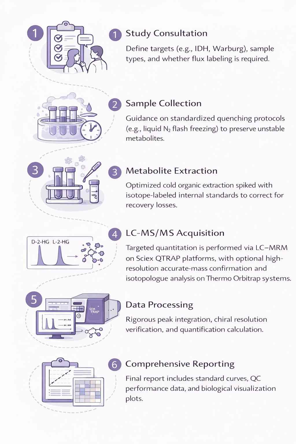 Vertical workflow diagram for targeted oncometabolomics: quenching, isotope-labeled extraction, LC–MRM, QC, reporting.