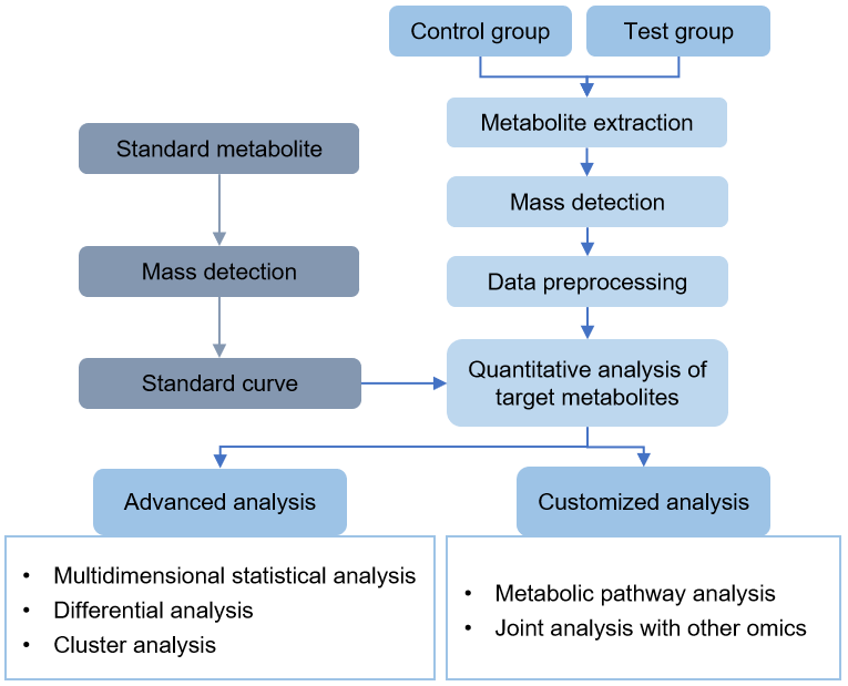 Technical Route of Targeted Metabolomics of Pyruvic Acid