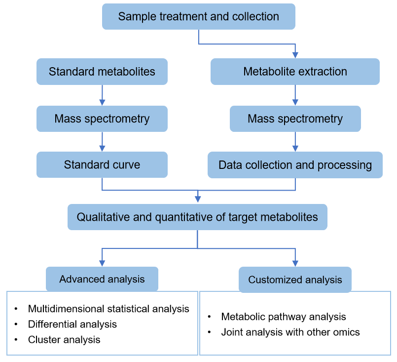Technical Route of Targeted Metabolomics of Malonic Acid