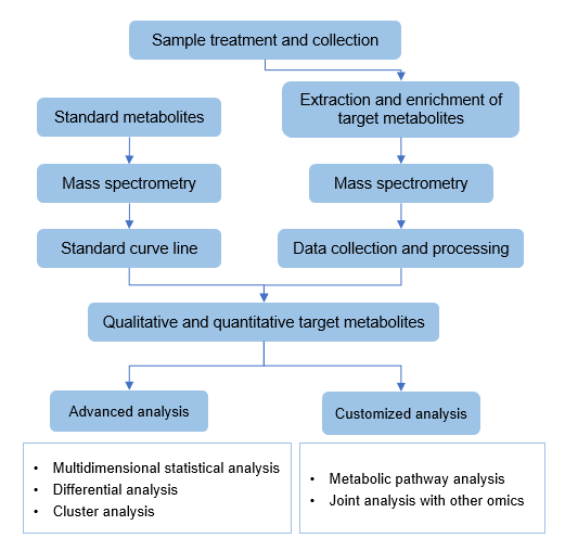 Technical Route of Targeted Metabolomics of Benzoic Acid