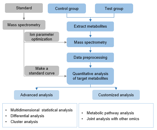 Technical Route of Targeted Metabolomics of Succinic Acid