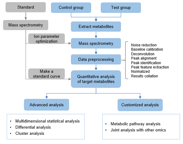 Technical Route of Targeted Metabolomics of Fumaric Acid