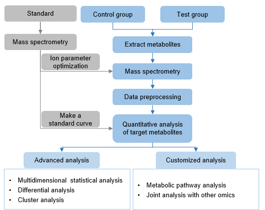 Technical Route of Targeted Metabolomics of Glucose