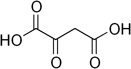 Molecular structure of oxaloacetic acid