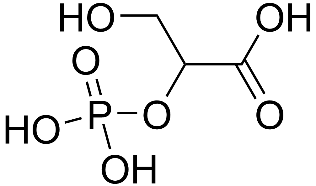 Molecular structure of 2-phosphoglycerate