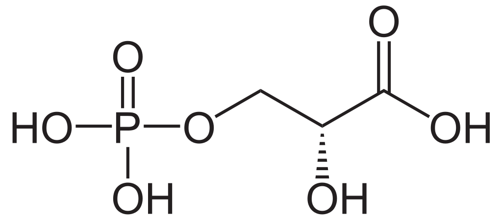 3-phosphoglycerate