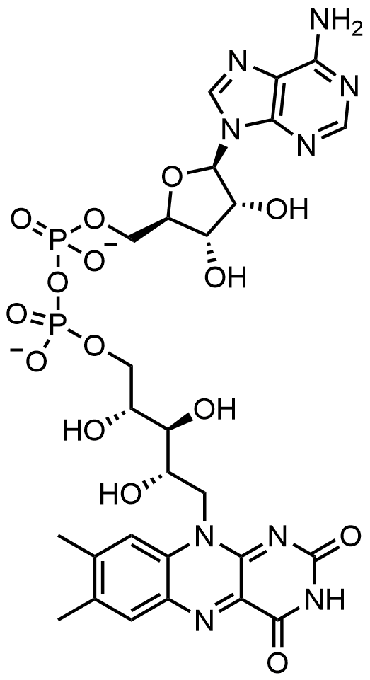 Molecular structure of flavin adenine dinucleotide