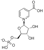 Molecular structure of nicotinic acid mononucleotide