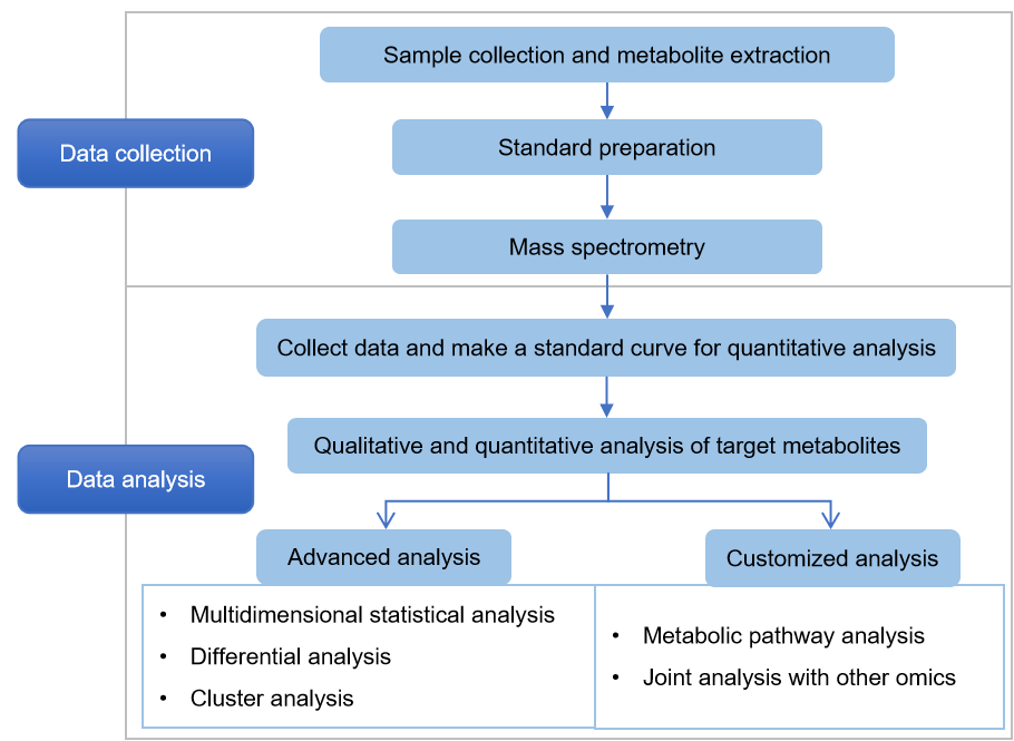 Technical Route of Targeted Metabolomics of Nicotinic Acid Mononucleotide