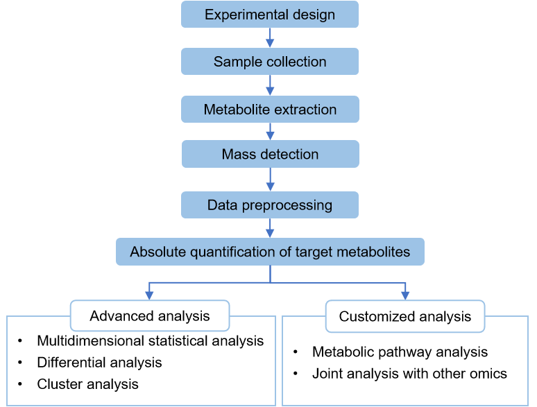 Technical Route of Targeted Metabolomics of Quinolinic Acid