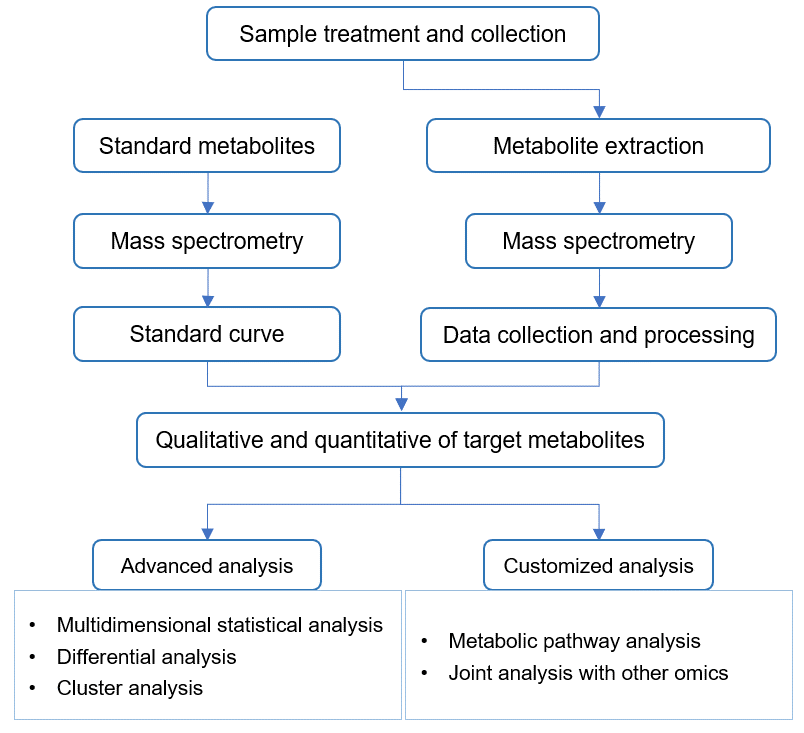 Technical Route of Targeted Metabolomics of Sinalbin 