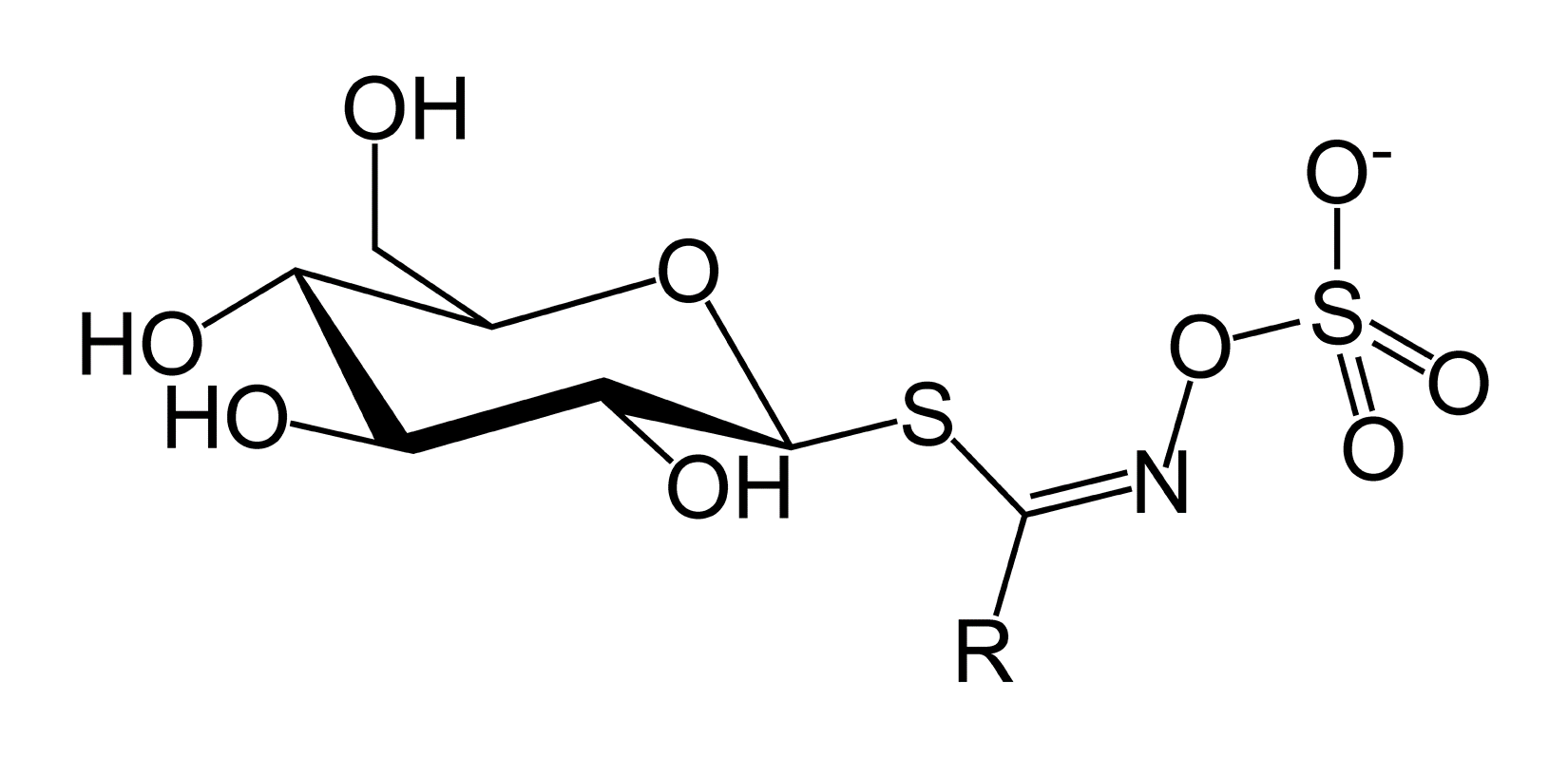 Glucosinolate structure (side group R varies)