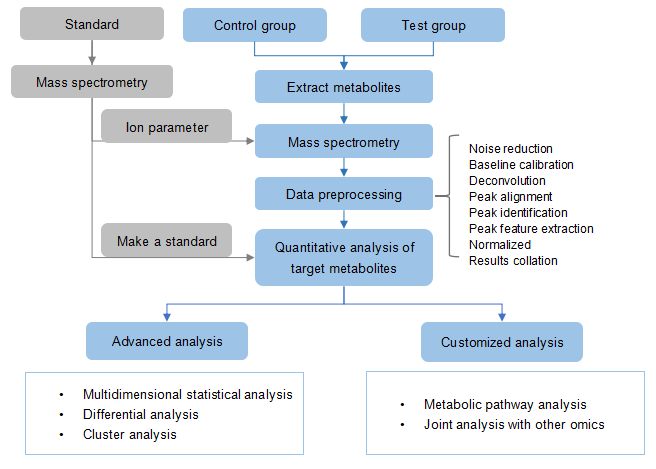  Workflow of targeted metabolomics service of aconitine