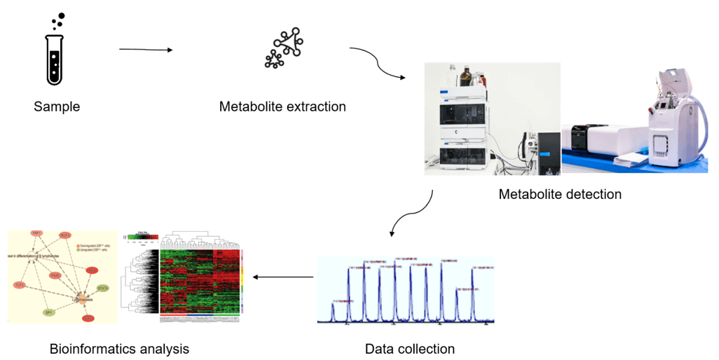 The technical route of targeted metabolomics of alkaloids