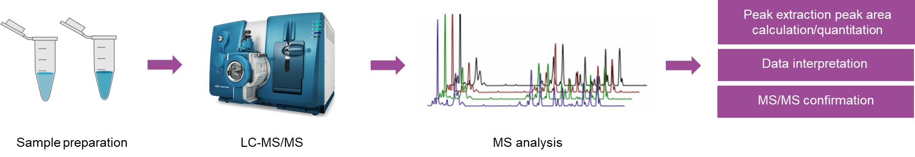 Workflow for Amino Acid Metabolism Analysis
