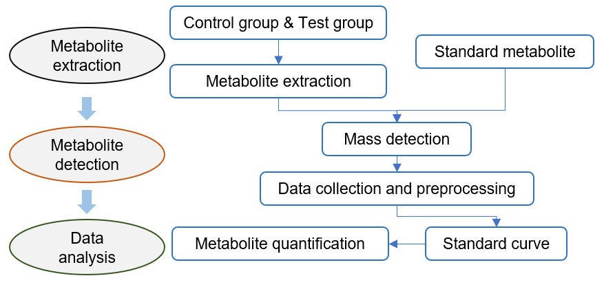 Technical Workflow of Targeted Metabolomics of Antheraxanthin