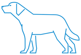 Canine Metabolomics Service