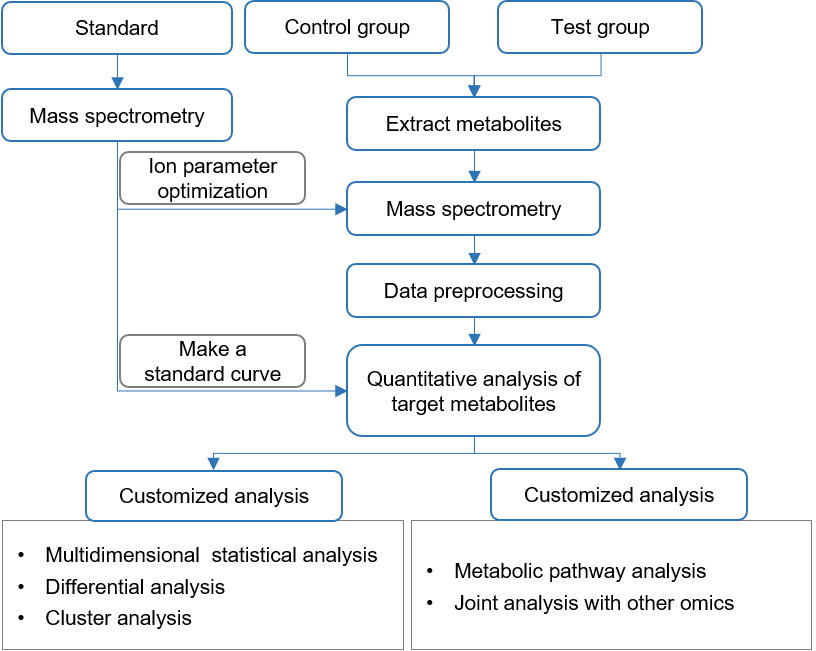 Technical Workflow of Targeted Metabolomics of Canthaxanthin