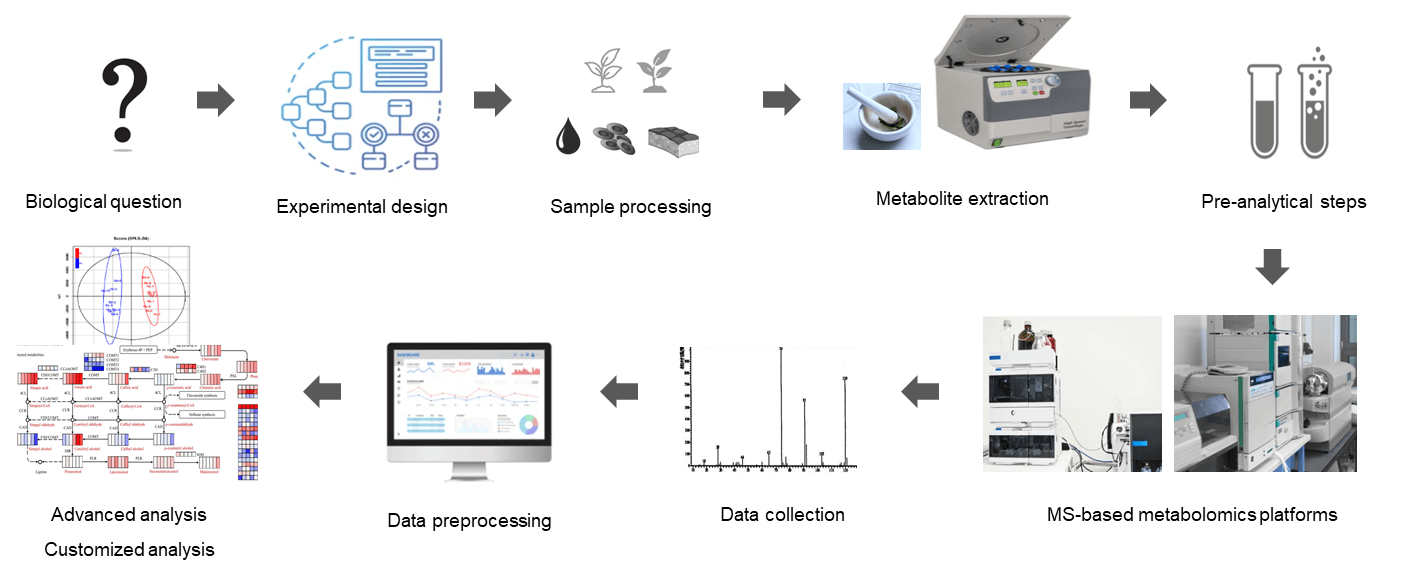 Technical Route of Targeted Metabolomics of Carbohydrate Metabolism Related Products