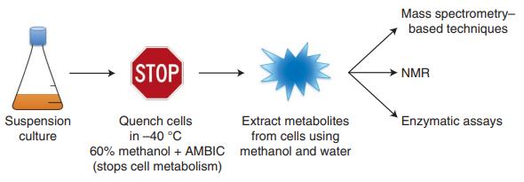 Overview of protocol for metabolite extraction from suspension cultured mammalian cells