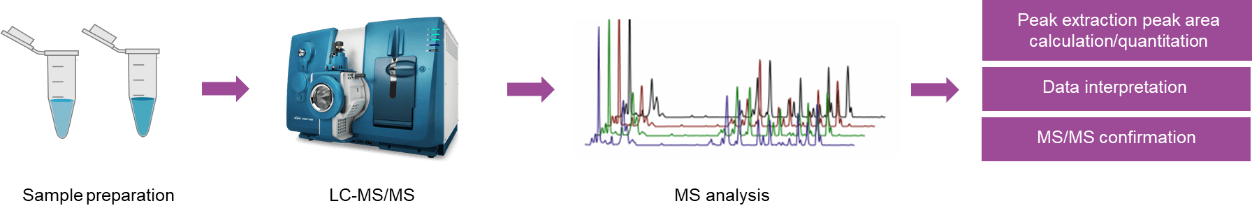 Workflow of coenzyme A metabolites analysis