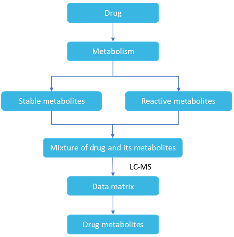 Drug Metabolism Analysis Services