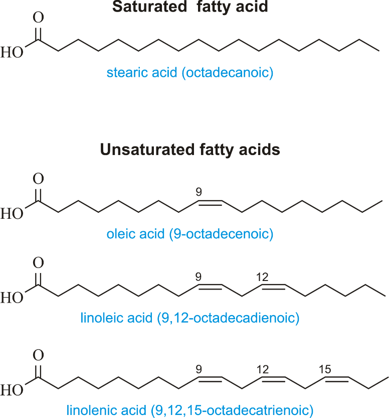 Fatty Acids Analysis Service