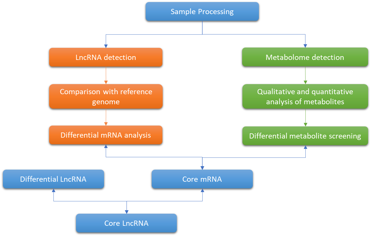 Technology Roadmap for Integrative Metabolome and LncRNA