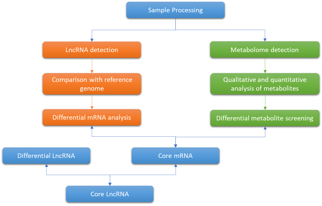 Technology Roadmap for Integrative Metabolome and Microbiome