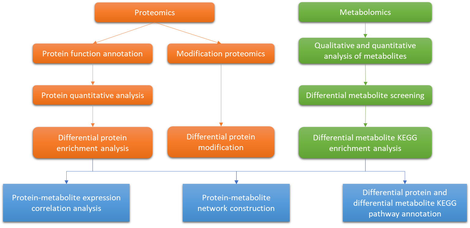 Integrative Metabolome and Proteome Analysis