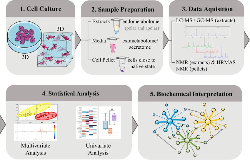 Scheme of a typical metabolomics workflow applicable to cell analysis