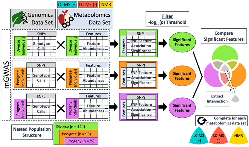 Workflow for integration of one metabolomics dataset with genomics data
