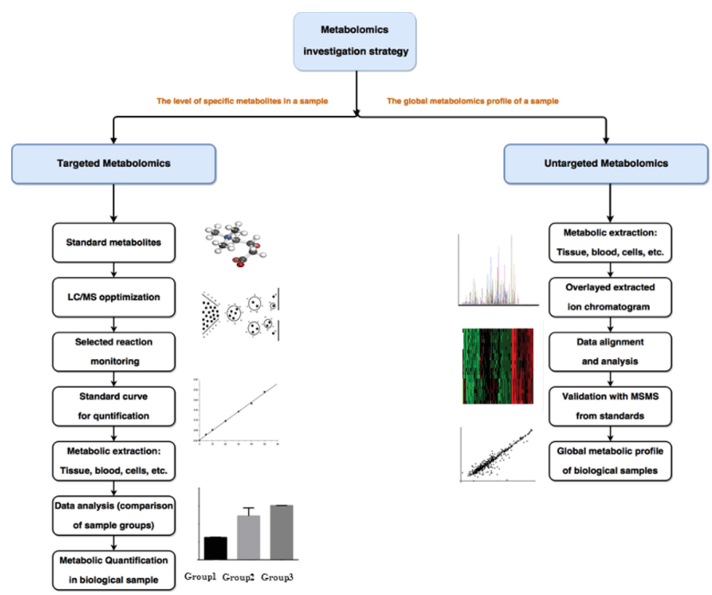 Metabolomics Technologies in Medical Research