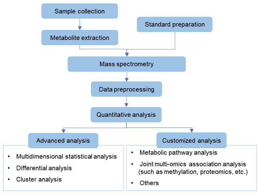 Workflow of targeted metabolomics service of monocrotaline